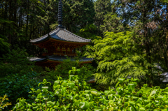 南山城の祈り