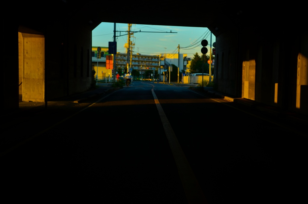 西日の光景