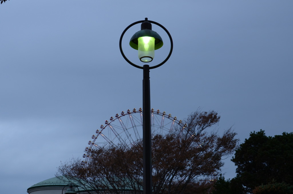 観覧車を照らす（葛西臨海公園）