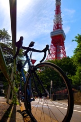 東京サイクリング