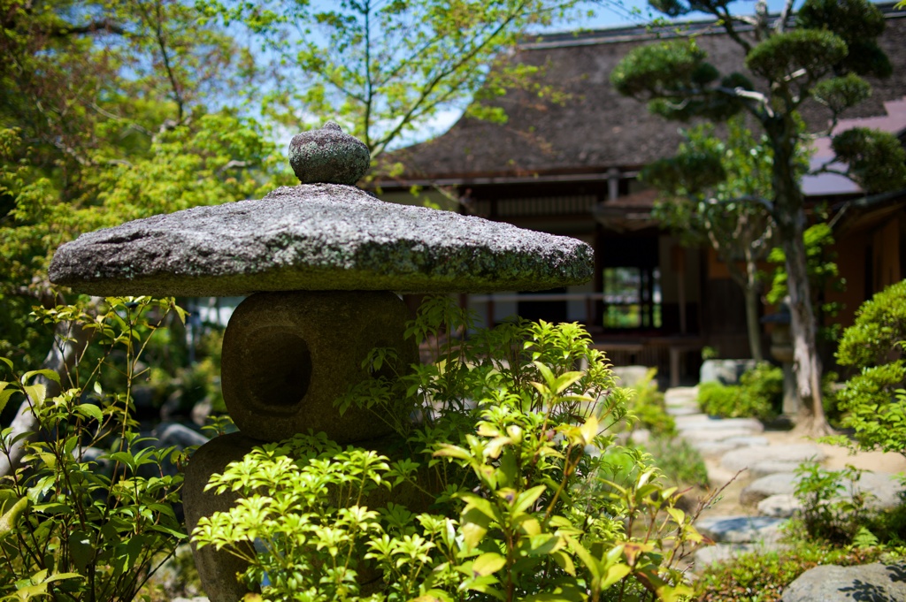 初夏日和