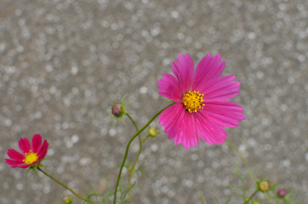 とりあえず・・