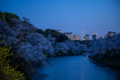 東京タワー