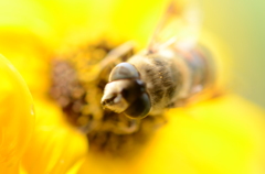 だから、いま仕事中！