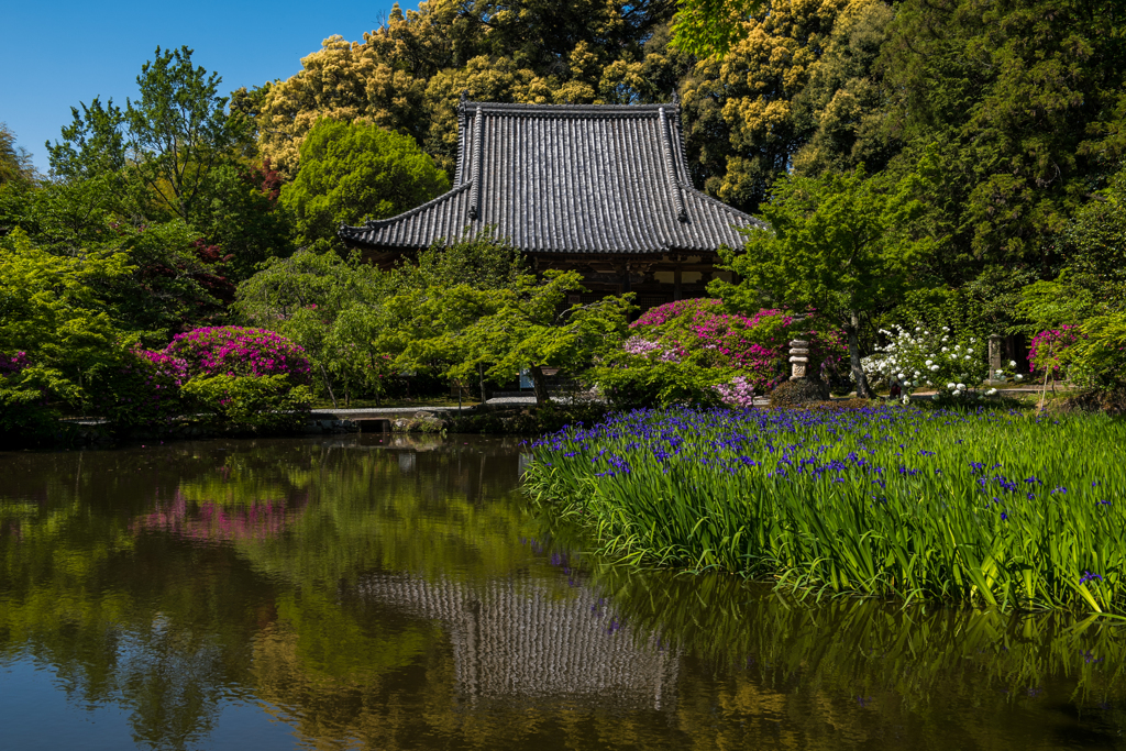 花寺