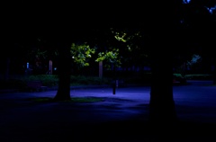公園の明かり