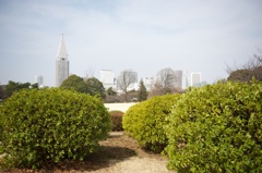 新宿に春風が吹いていた 