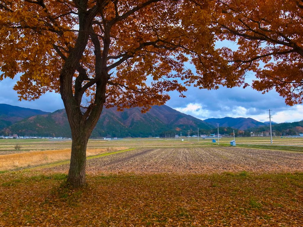 晩秋の里