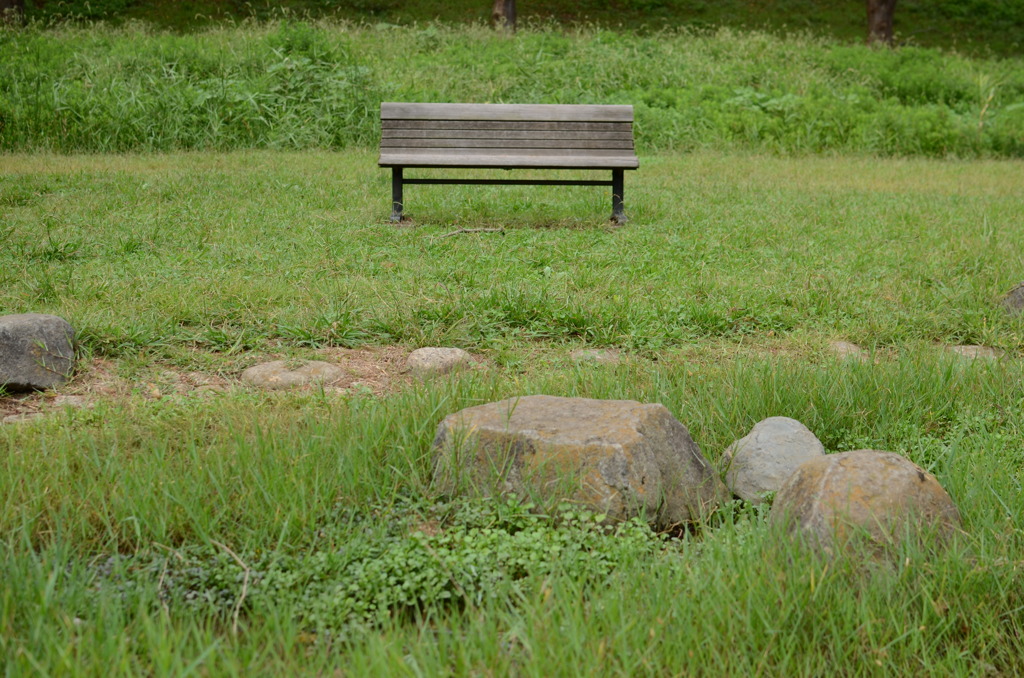 存在　（長津川親水公園）