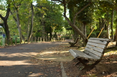 ひと休み（市川市　じゅん菜公園）