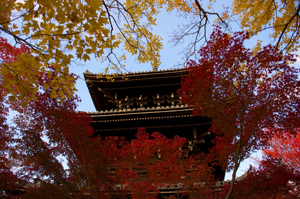 紅葉ラプソディ