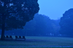 Rainy day Blue