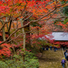 室生寺の秋