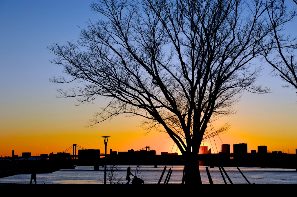 あたたかな夕暮れ