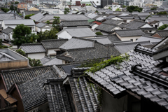 甍の波