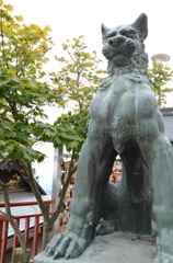 飼い主は日本武尊（武蔵御嶽神社）