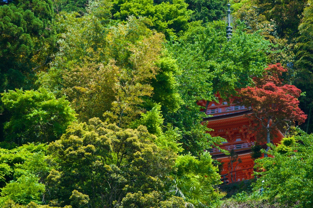 三重塔