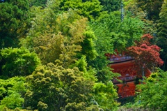 三重塔