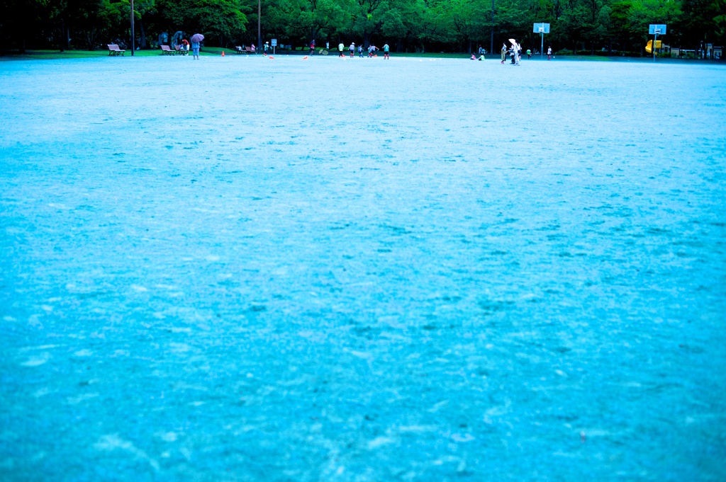 雨の公園