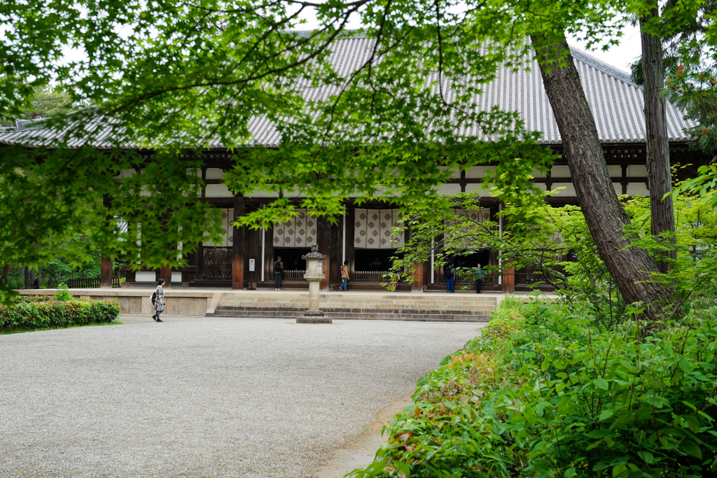 新緑の唐招提寺