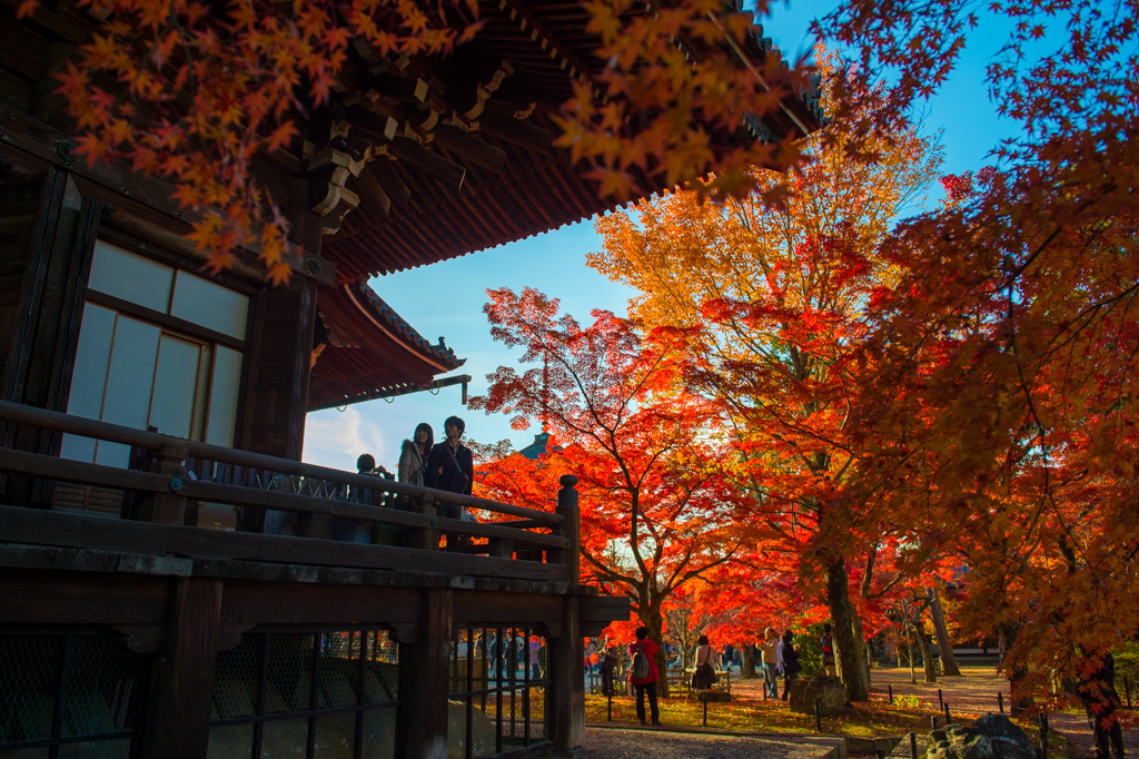 京都 真如堂の秋