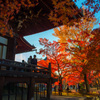 京都 真如堂の秋