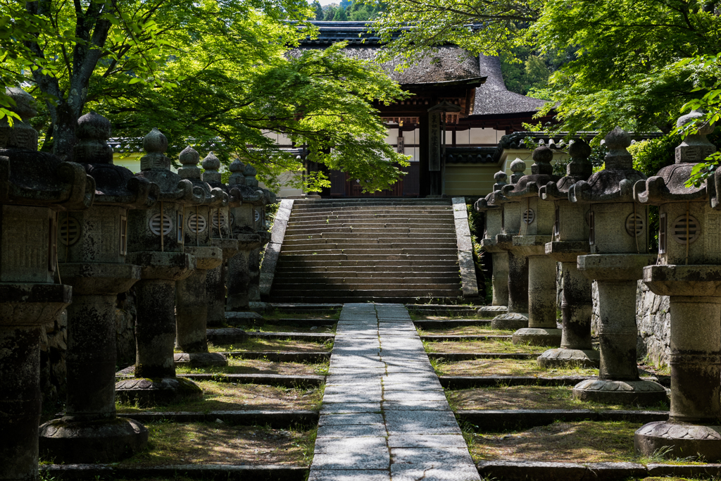 新緑の参詣