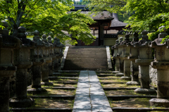 新緑の参詣