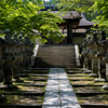 新緑の参詣