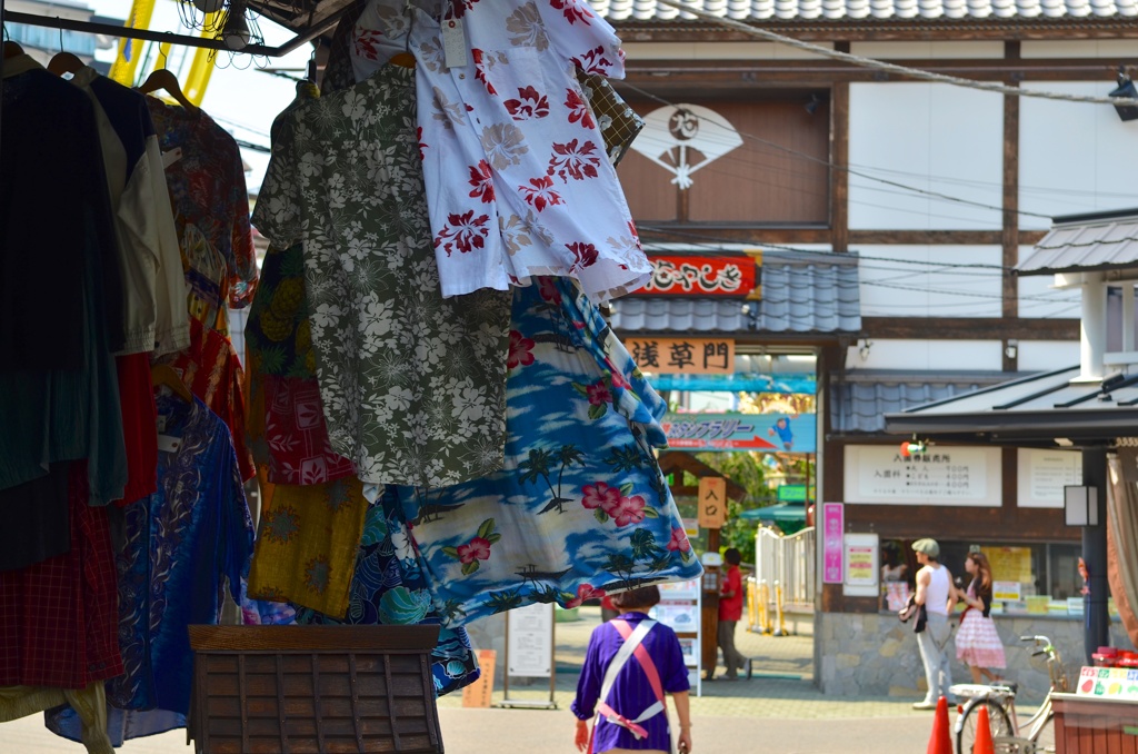 夏 浅草 花やしき