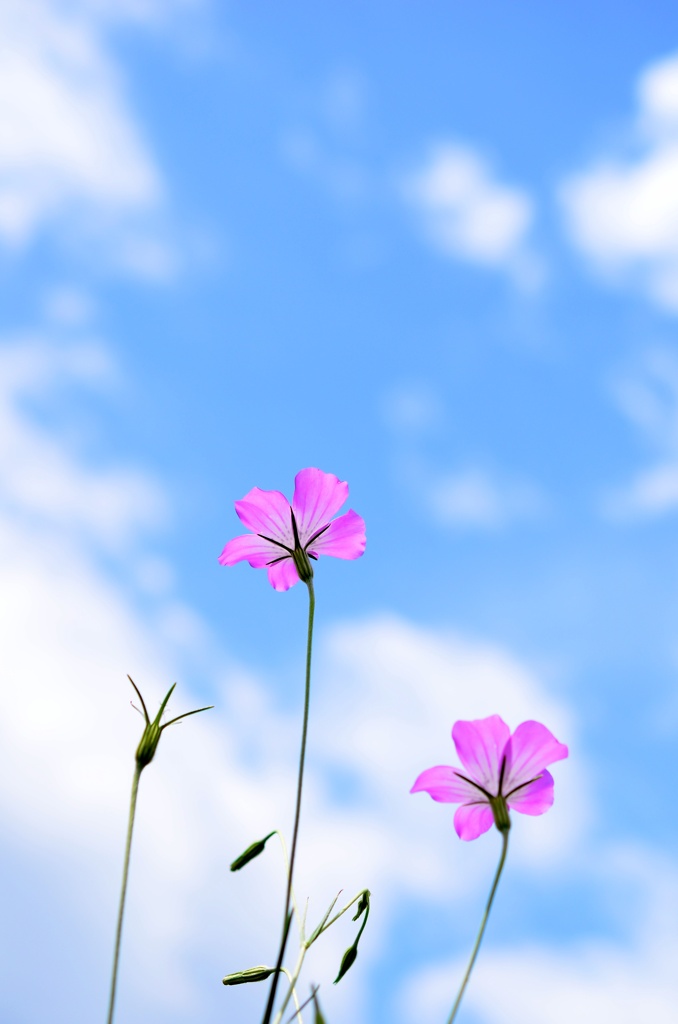 風そよぐ 初夏へ