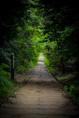 遊歩道