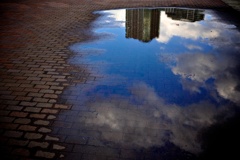 みずたまり みずたまり