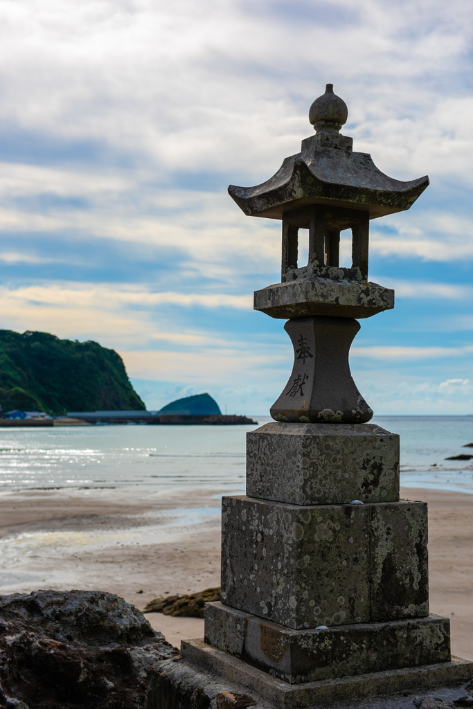 根獅子の海