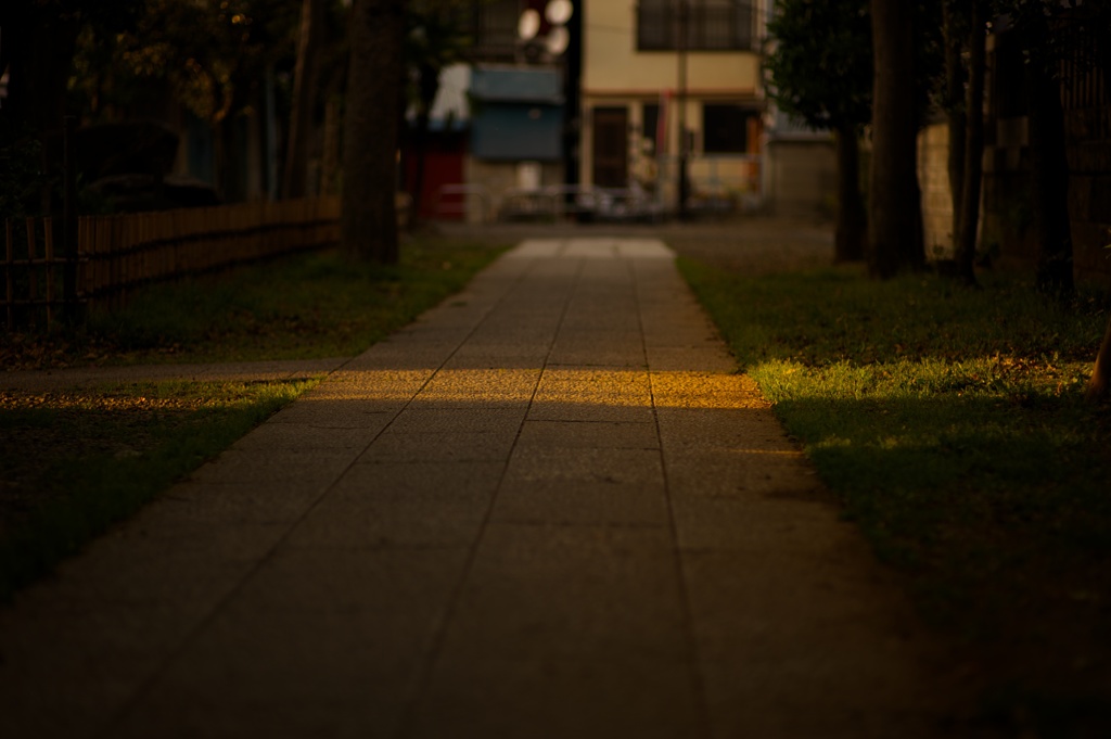 夕照