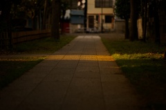 夕照