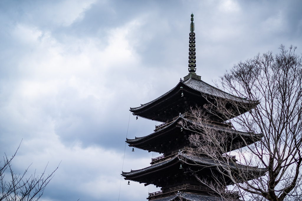 冬・京都・五重塔