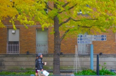 ヨコハマを歩けば