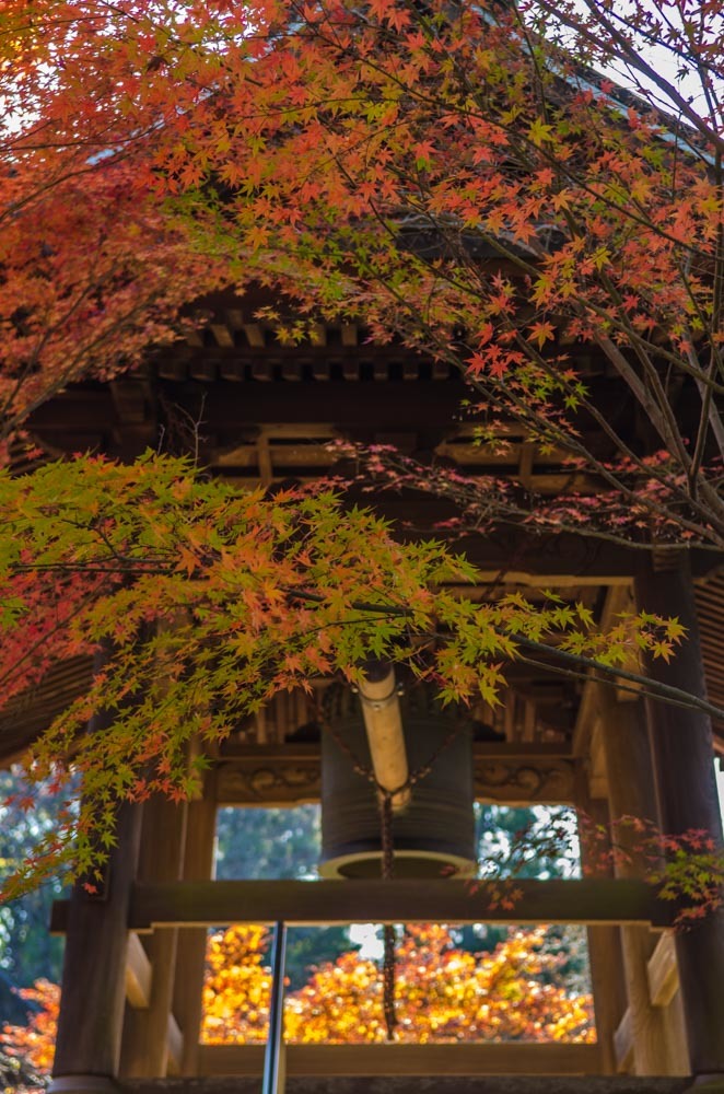 鐘楼堂の紅葉