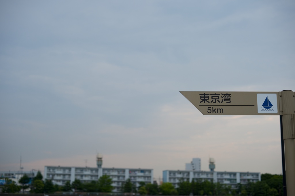東京湾 ５Kｍ