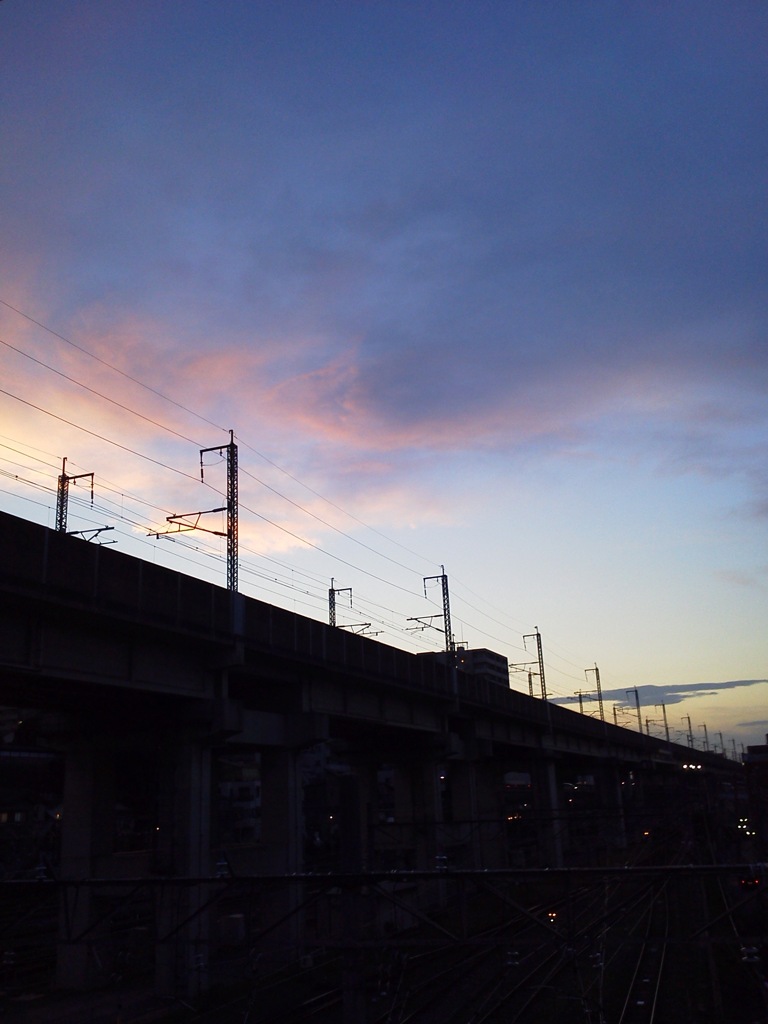 東北新幹線の高架に夕日