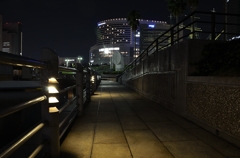 日本丸近くの海沿い