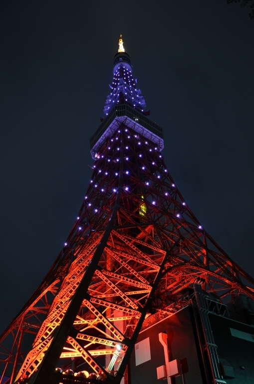 ピンクリボン×東京タワー