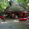 奈良公園