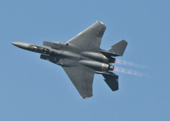 F15
