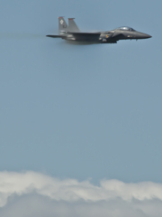 F15