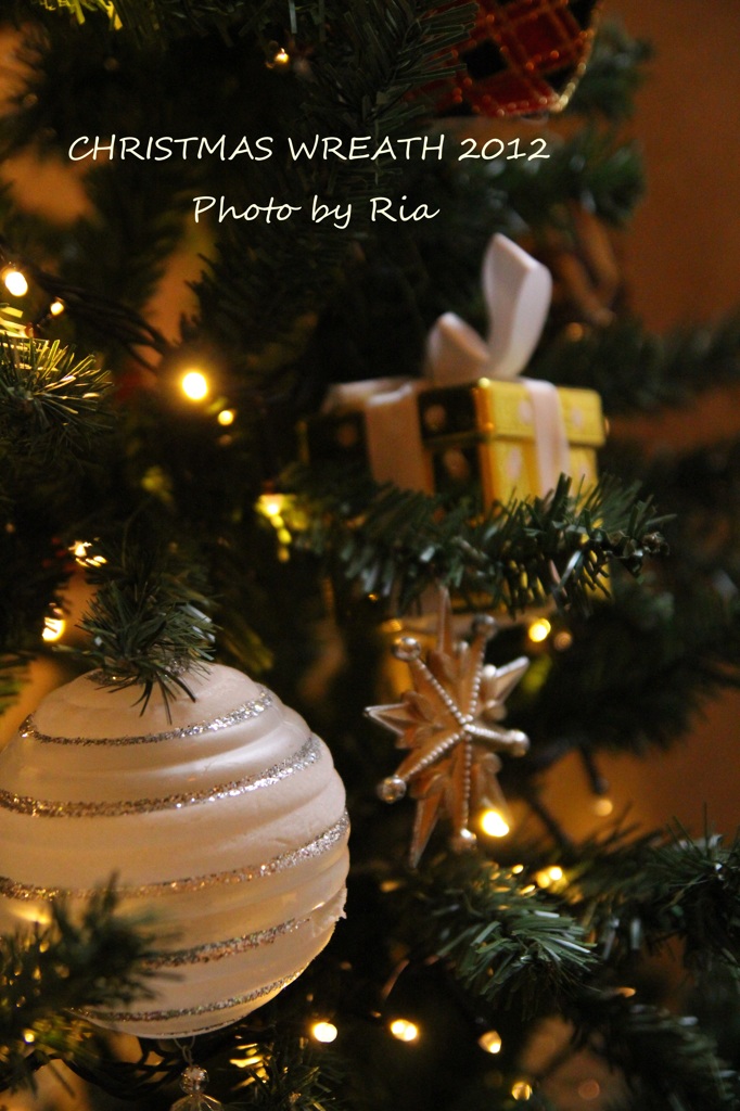IMG_1110ria