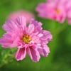 IMG_9013ria