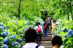 人気寺