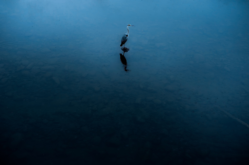 Alone